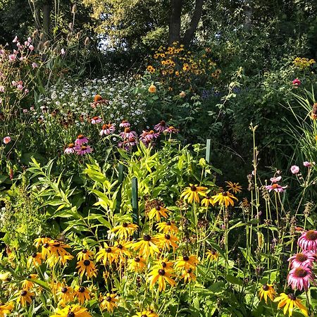 Gartenhaus Frieda Galmsbull エクステリア 写真