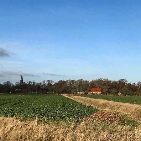 Gartenhaus Frieda Galmsbull エクステリア 写真