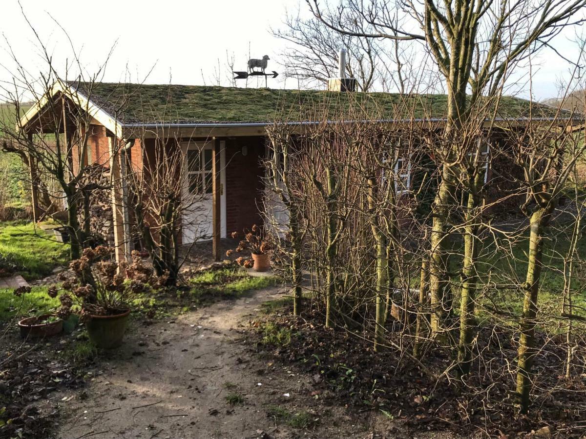 Gartenhaus Frieda Galmsbull エクステリア 写真