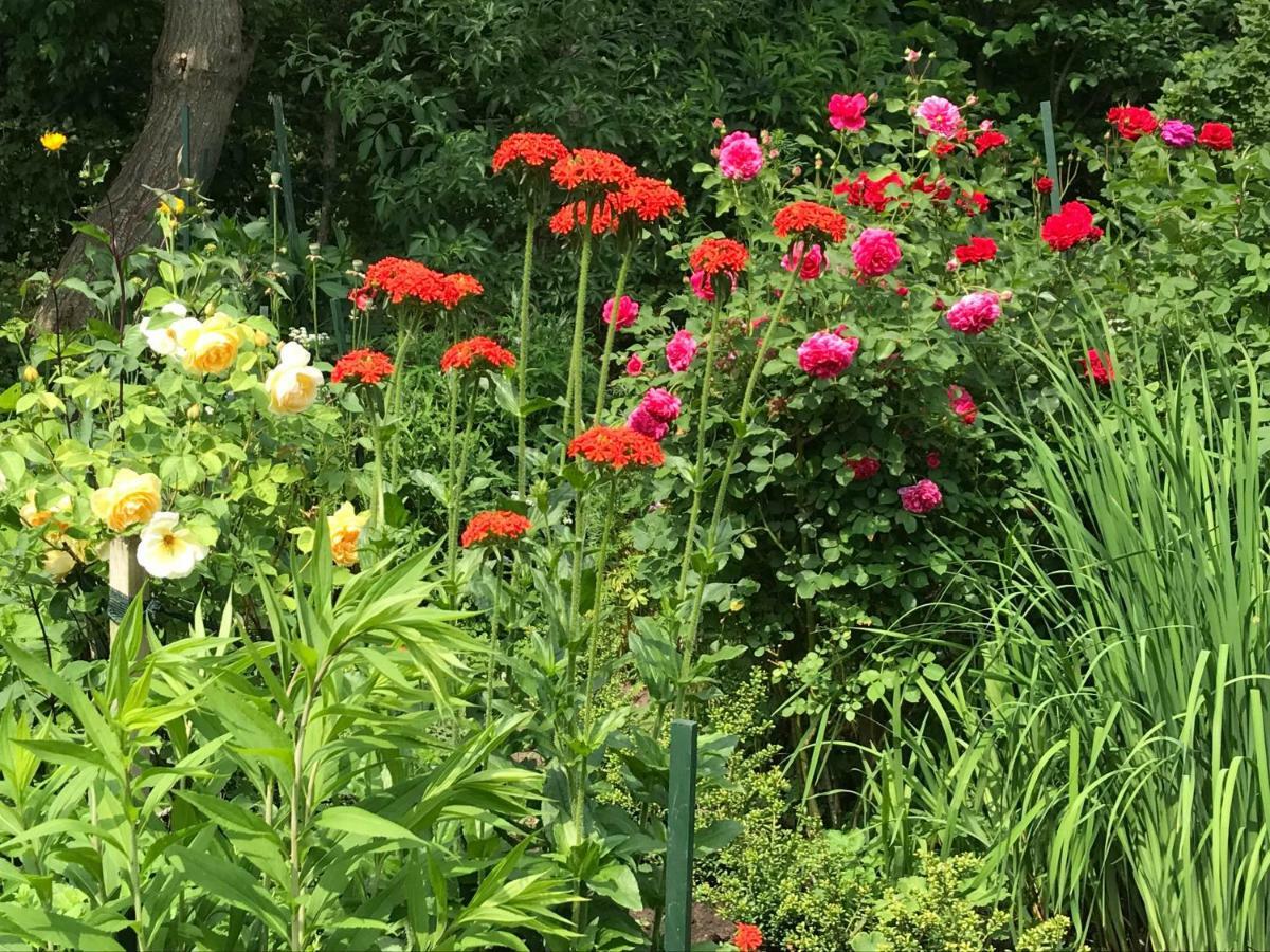 Gartenhaus Frieda Galmsbull エクステリア 写真