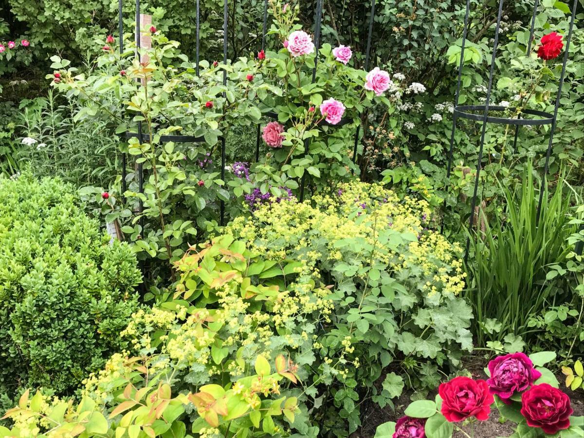 Gartenhaus Frieda Galmsbull エクステリア 写真